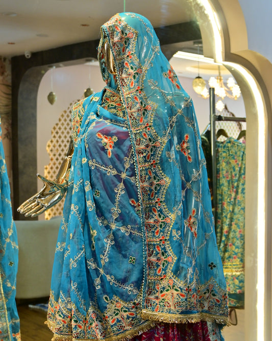 Sky blue embroidered lehenga Jaipur